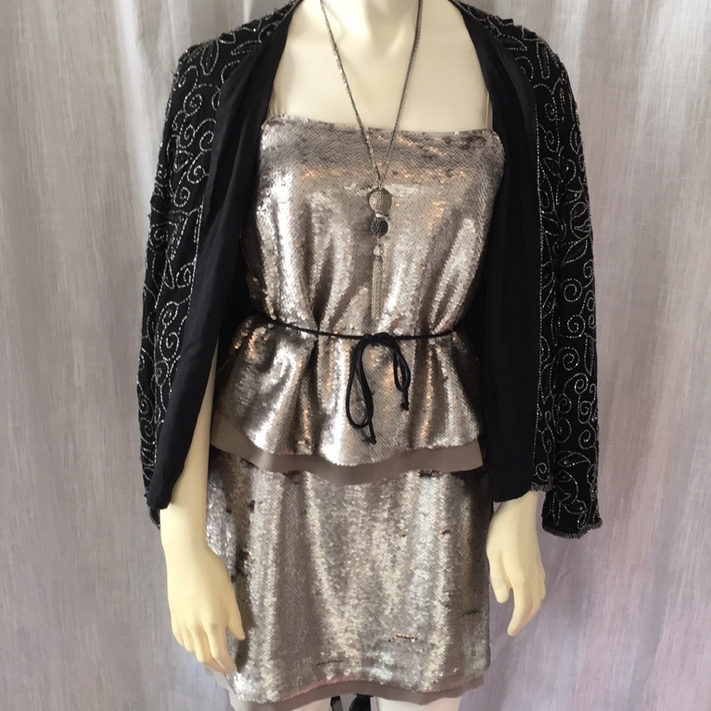 NWT pewter sequined silk trimmed cocktail dress - Picture 3 of 5